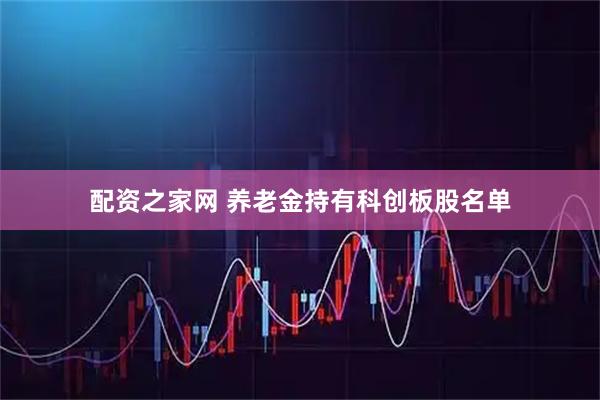 配资之家网 养老金持有科创板股名单